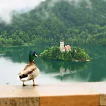 Apartment Cvetka Bled