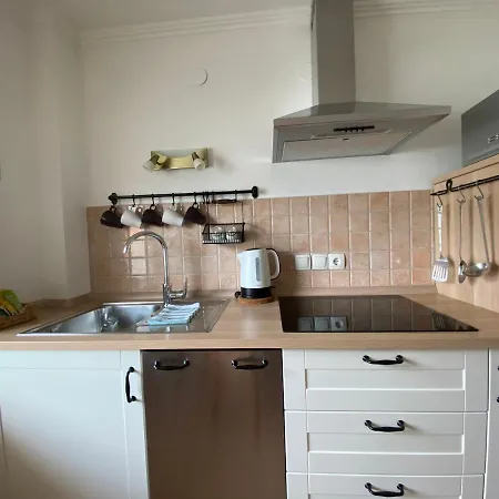 ツヴェツカ アパート *