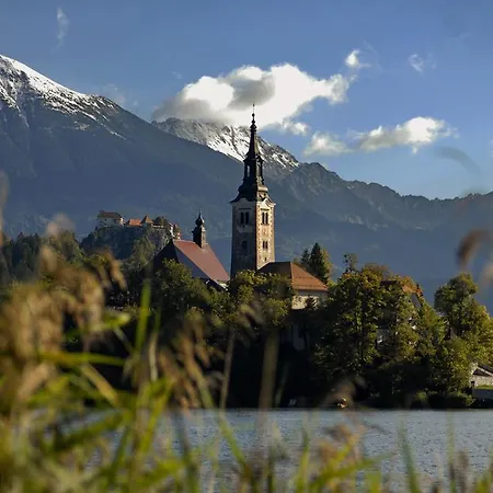 Cvetka Bled