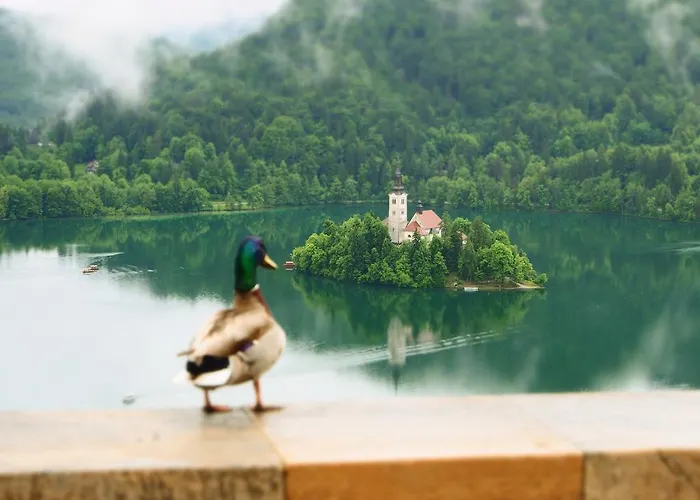 Appartement Cvetka Bled